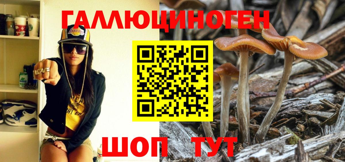 Галлюциногенные грибы MAGIC MUSHROOMS Каспийск