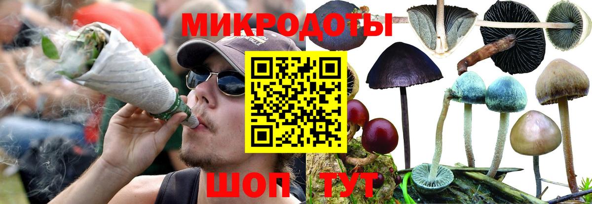 Псилоцибиновые грибы MAGIC MUSHROOMS  Галлюциногенные грибы ЛСД  Каспийск  Вход с VPN 